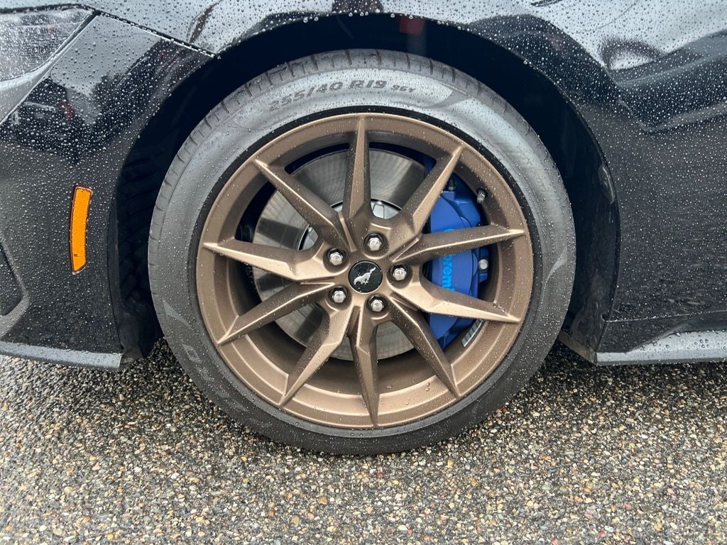 2025 Ford Mustang Dark Horse