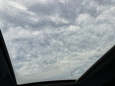 2021 Audi S5 Sportback Premium Plus