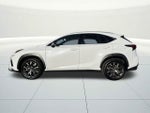2019 Lexus NX NX 300