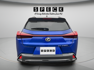 2024 Lexus UX 250h F SPORT Design